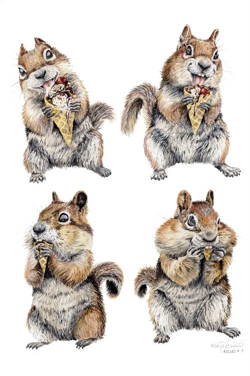 Nuts For Ice Cream by Holly Simental wall art