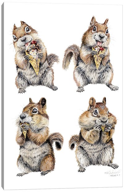 Nuts For Ice Cream Canvas Art Print - Holly Simental