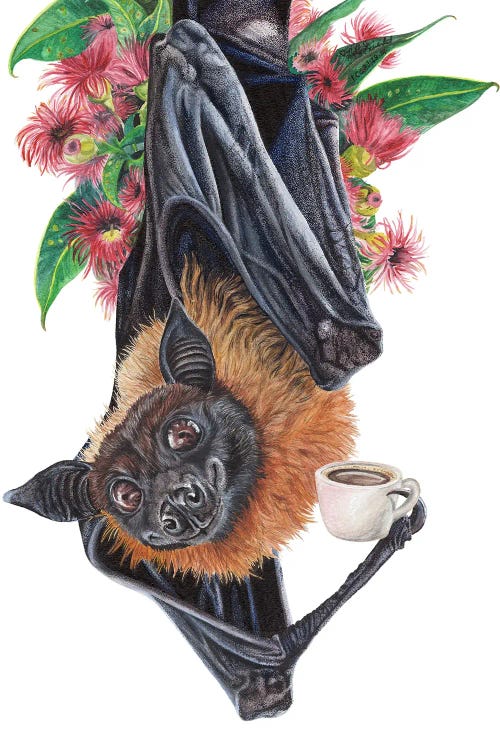 Batty Before Coffee