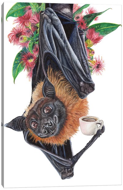 Batty Before Coffee Canvas Art Print - Holly Simental