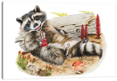 Chocolate Bandit Canvas Art Print - Raccoon Art