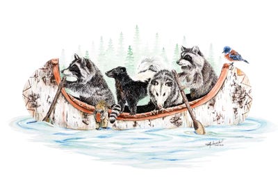 Raccoons