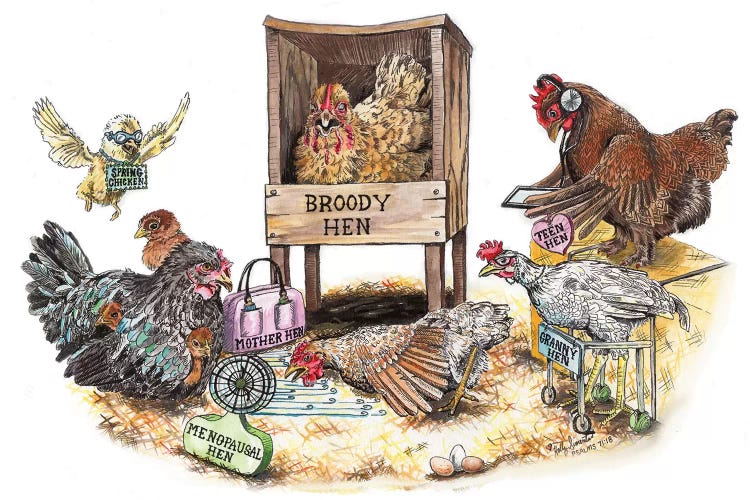 Life In The Coop by Holly Simental wall art