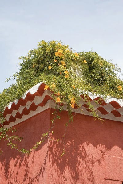 Henrike Schenk: Yellow Summer Flowers by Henrike Schenk