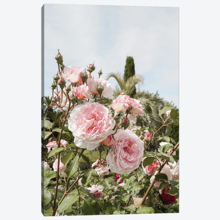 Pink Roses Garden Canvas Print #HSK124} by Henrike Schenk Canvas Art Print