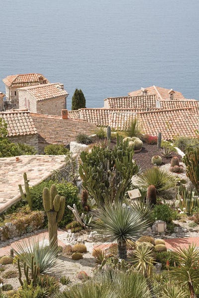 Botanical Garden In France by Henrike Schenk framed canvas print