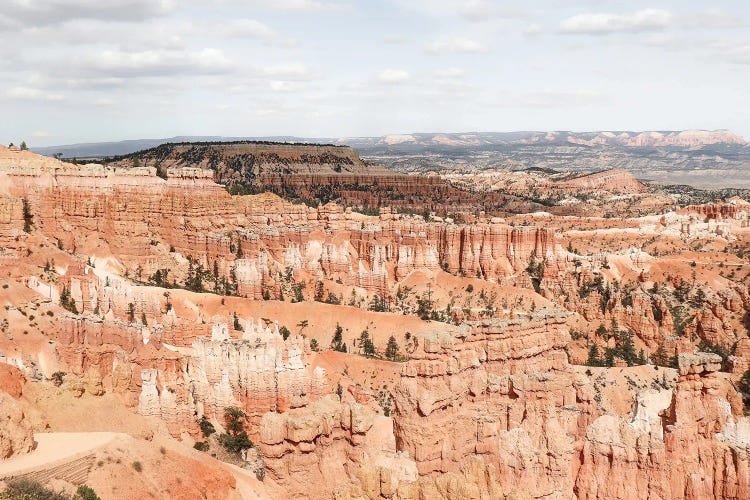 Bryce Canyon Landscape