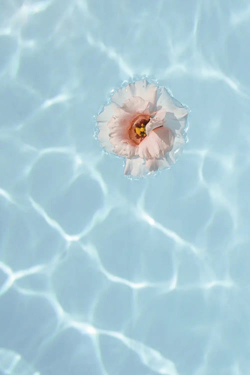 Floating Flower by Henrike Schenk wall art