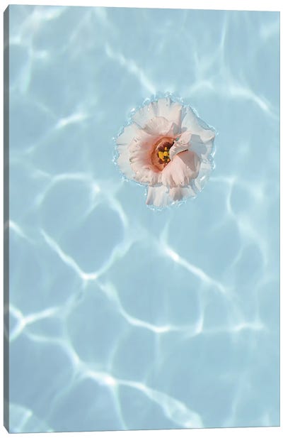 Floating Flower Canvas Art Print - Henrike Schenk