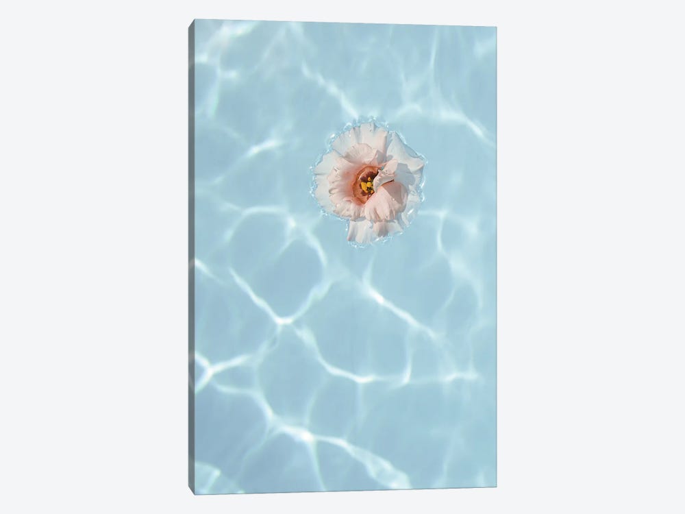 Floating Flower by Henrike Schenk 1-piece Canvas Print