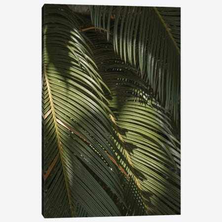 Palm Leaves Canvas Print #HSK151} by Henrike Schenk Art Print