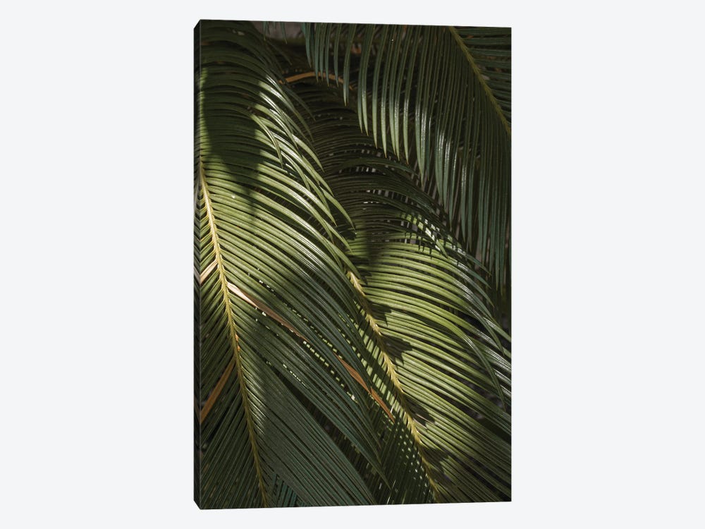 Palm Leaves by Henrike Schenk 1-piece Canvas Art Print