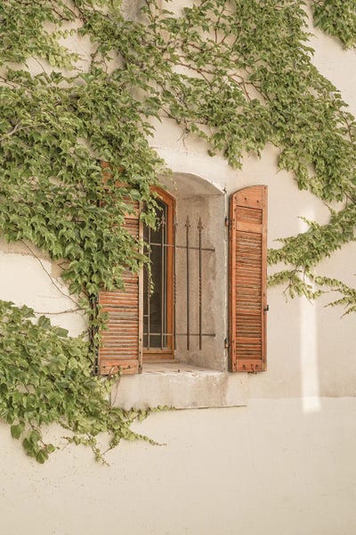Henrike Schenk: French Window Shutters by Henrike Schenk