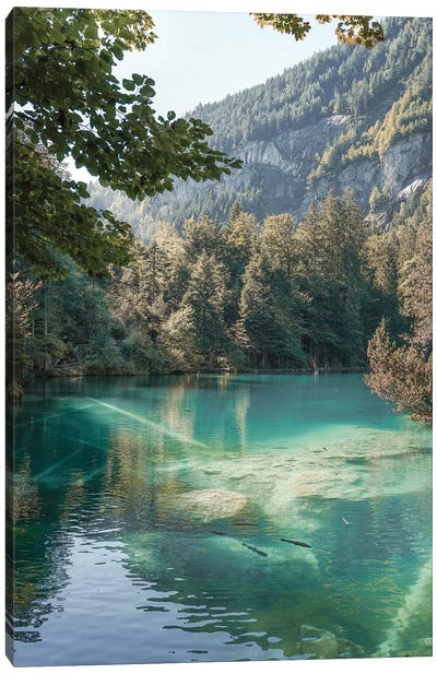 The Blausee In Switzerland Canvas Art Print - Switzerland Art