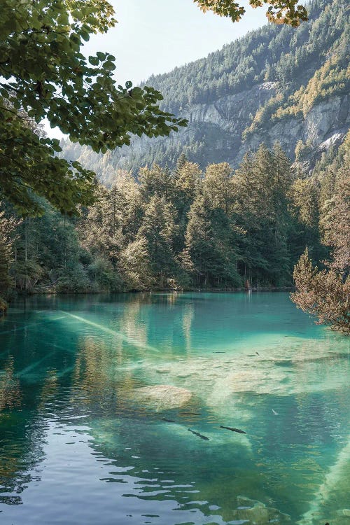 The Blausee In Switzerland