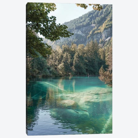 The Blausee In Switzerland Canvas Print #HSK165} by Henrike Schenk Art Print
