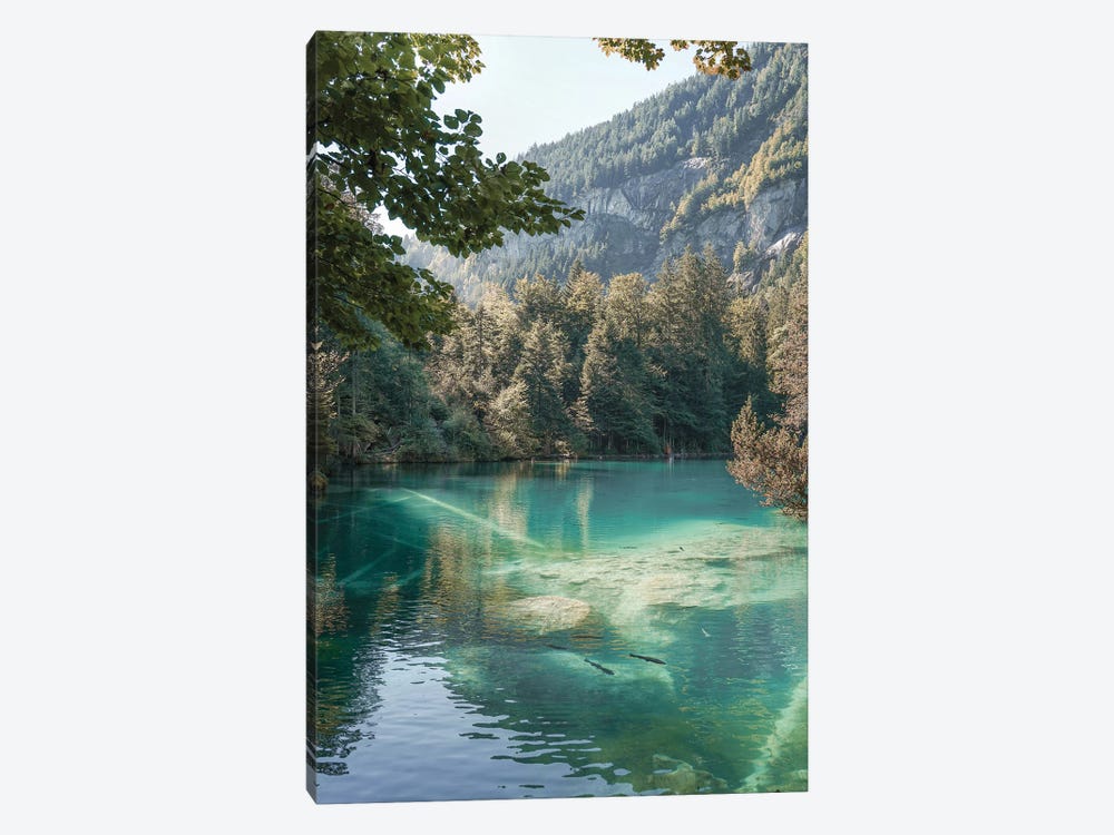 The Blausee In Switzerland by Henrike Schenk 1-piece Canvas Wall Art