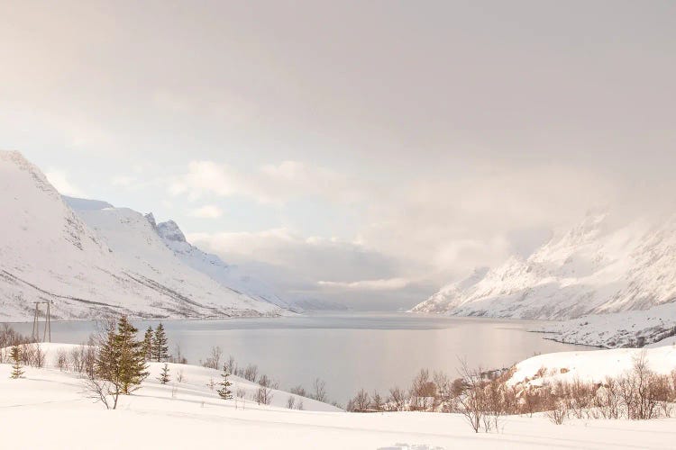 Mountain Lake Landscape In Norway