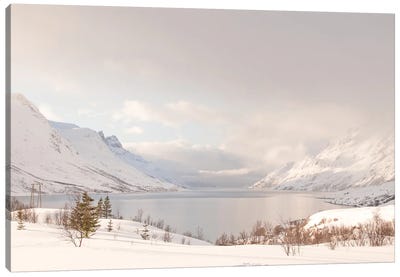 Mountain Lake Landscape In Norway Canvas Art Print - Henrike Schenk