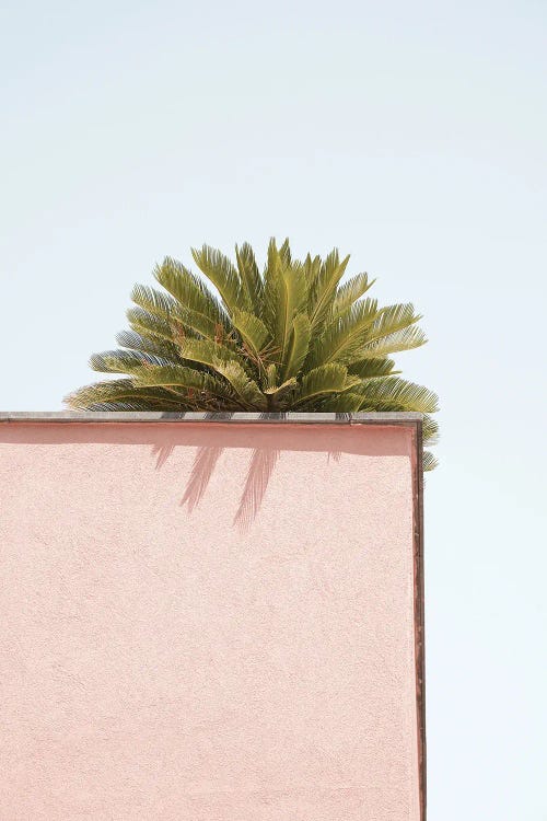 Tropical Green On Pastel Pink by Henrike Schenk wall art
