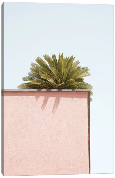 Tropical Green On Pastel Pink Canvas Art Print - Henrike Schenk