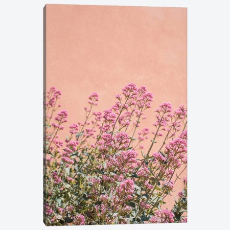 French Provence Flowers Canvas Print #HSK189} by Henrike Schenk Canvas Wall Art