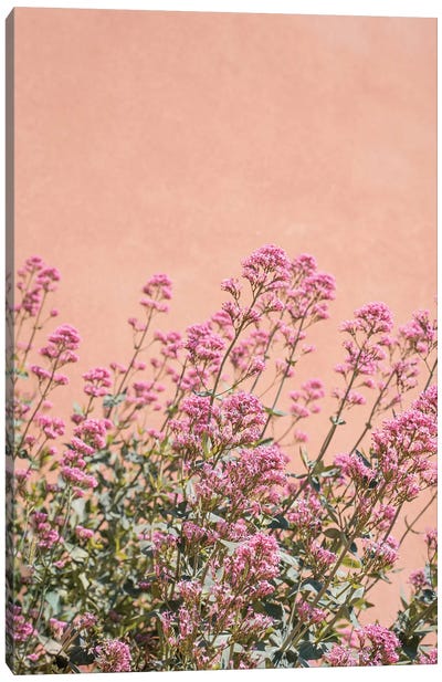 French Provence Flowers Canvas Art Print