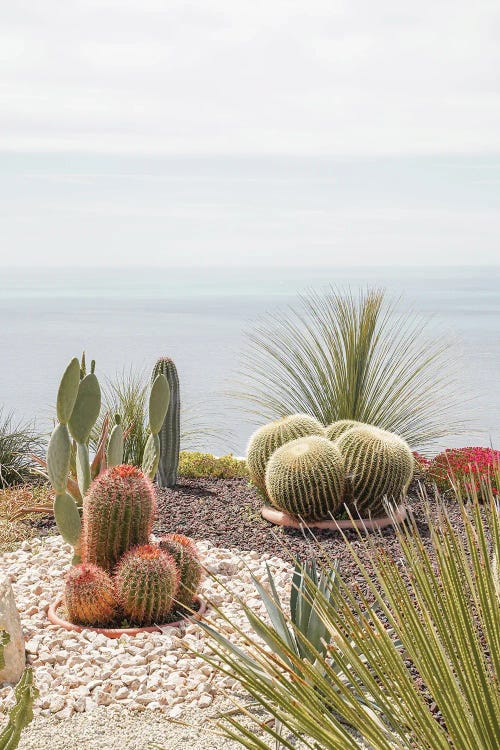 Botanical Garden Above The Sea