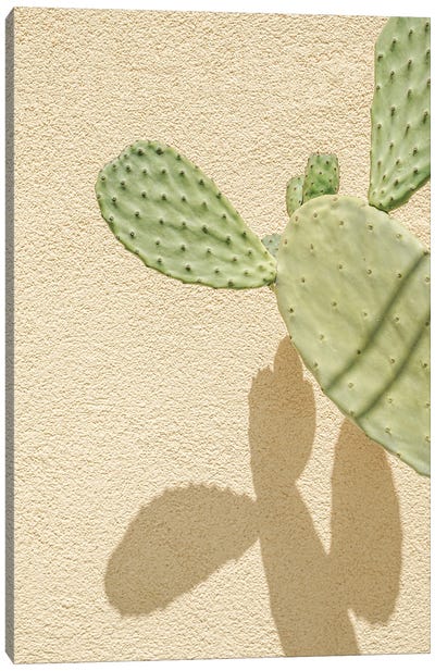 Cacti Shadowplay Canvas Art Print - Henrike Schenk