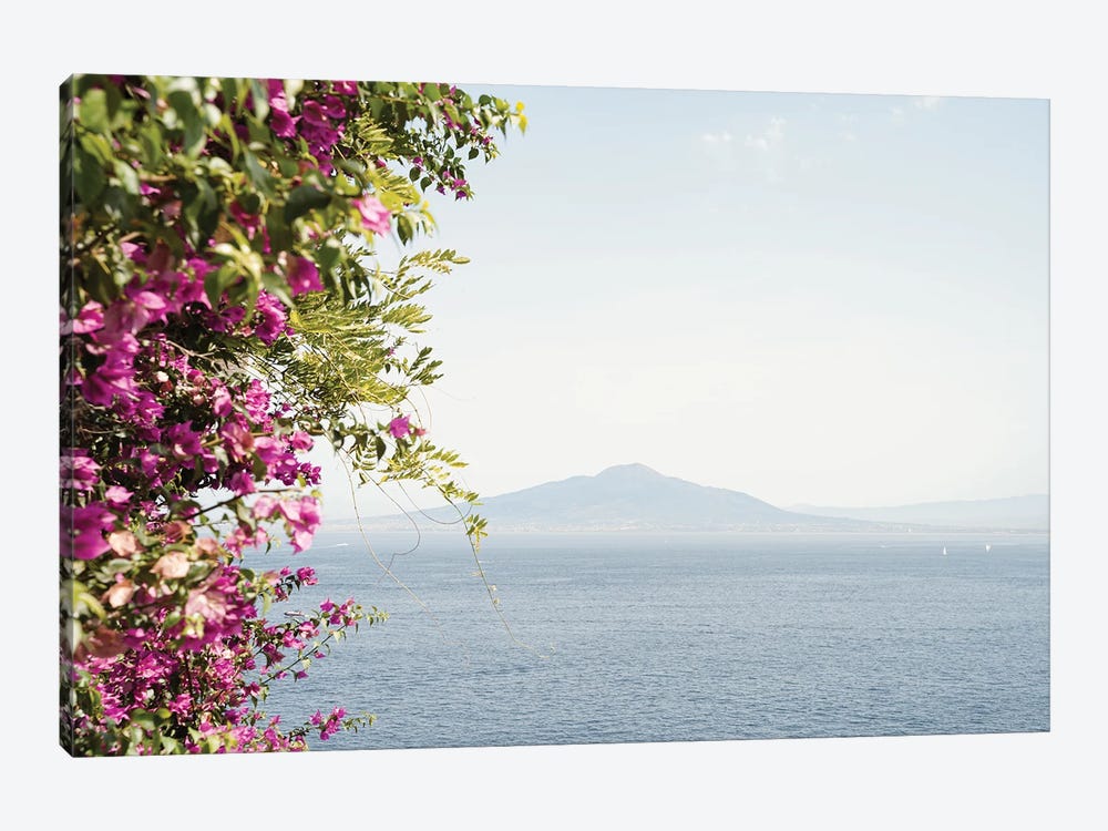 Vesuvius Landscape 1-piece Canvas Print
