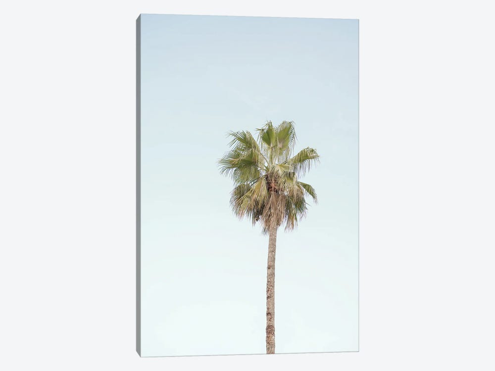 California Palm Tree by Henrike Schenk 1-piece Canvas Print