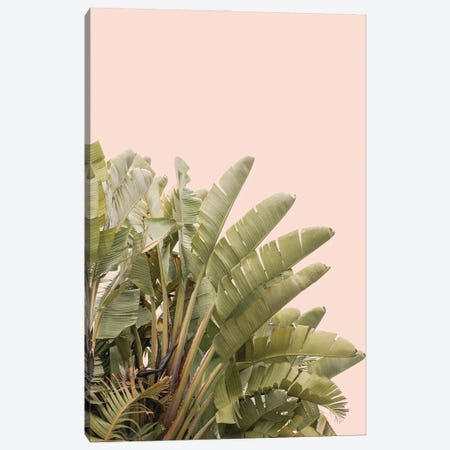Tropical Leaves On Pastel Canvas Print #HSK214} by Henrike Schenk Canvas Print