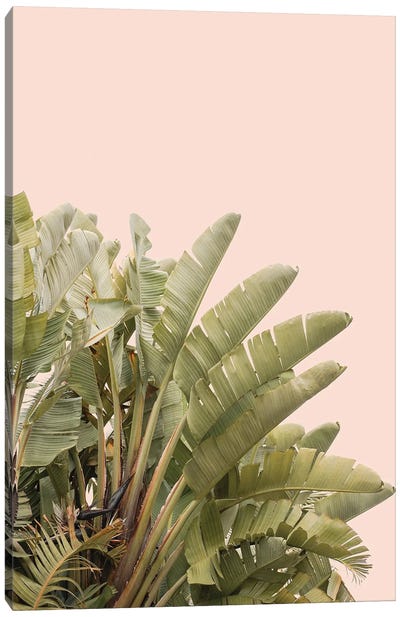 Tropical Leaves On Pastel Canvas Art Print - Henrike Schenk