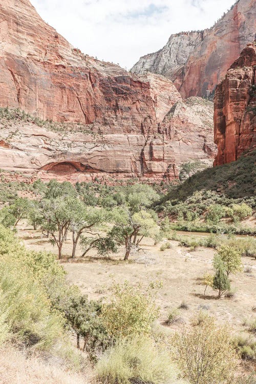 Zion National Park Meadow by Henrike Schenk wall art