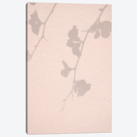 Pink Flowers Shadow Canvas Print #HSK224} by Henrike Schenk Canvas Artwork