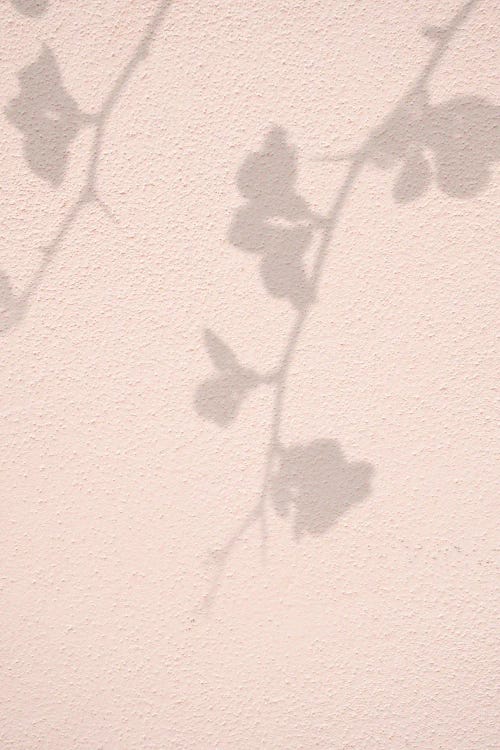 Pink Flowers Shadow