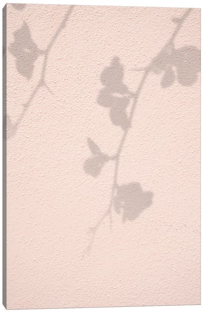 Pink Flowers Shadow Canvas Art Print - Henrike Schenk