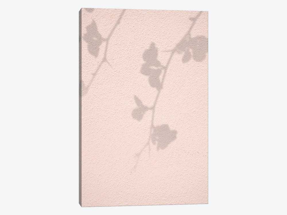 Pink Flowers Shadow by Henrike Schenk 1-piece Canvas Print