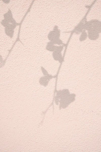 Henrike Schenk: Pink Flowers Shadow by Henrike Schenk