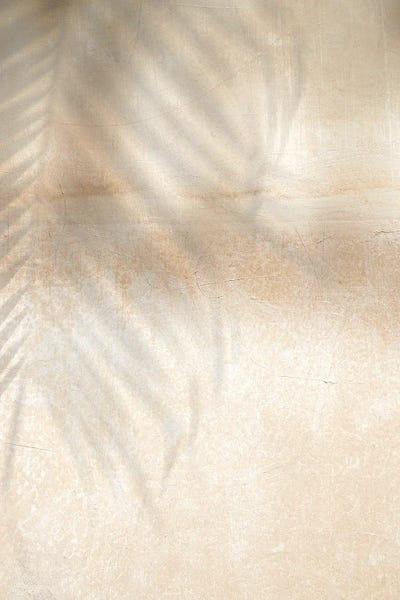 Palm Tree Shadow by Henrike Schenk framed canvas print