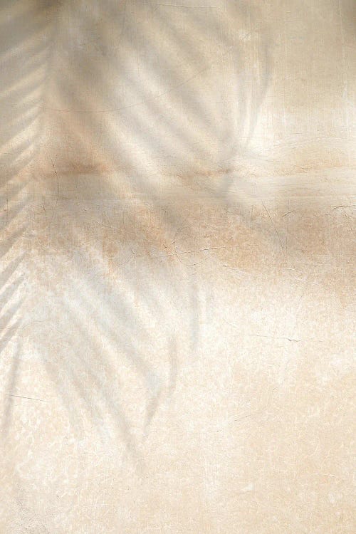 Palm Tree Shadow by Henrike Schenk wall art