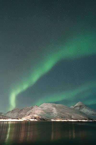 Aurora Borealis: Northern Lights In Norway by Henrike Schenk