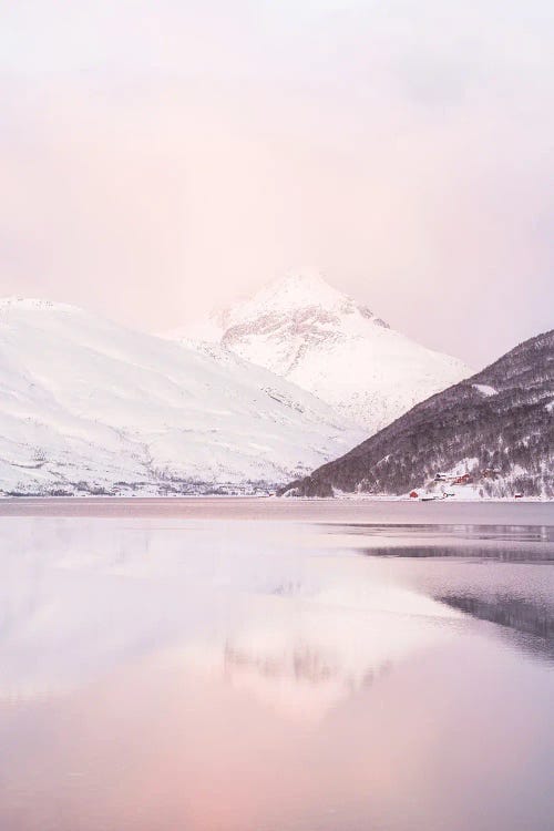 Arctic Glory by Henrike Schenk wall art