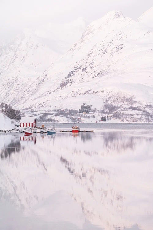 Arctic Reflections