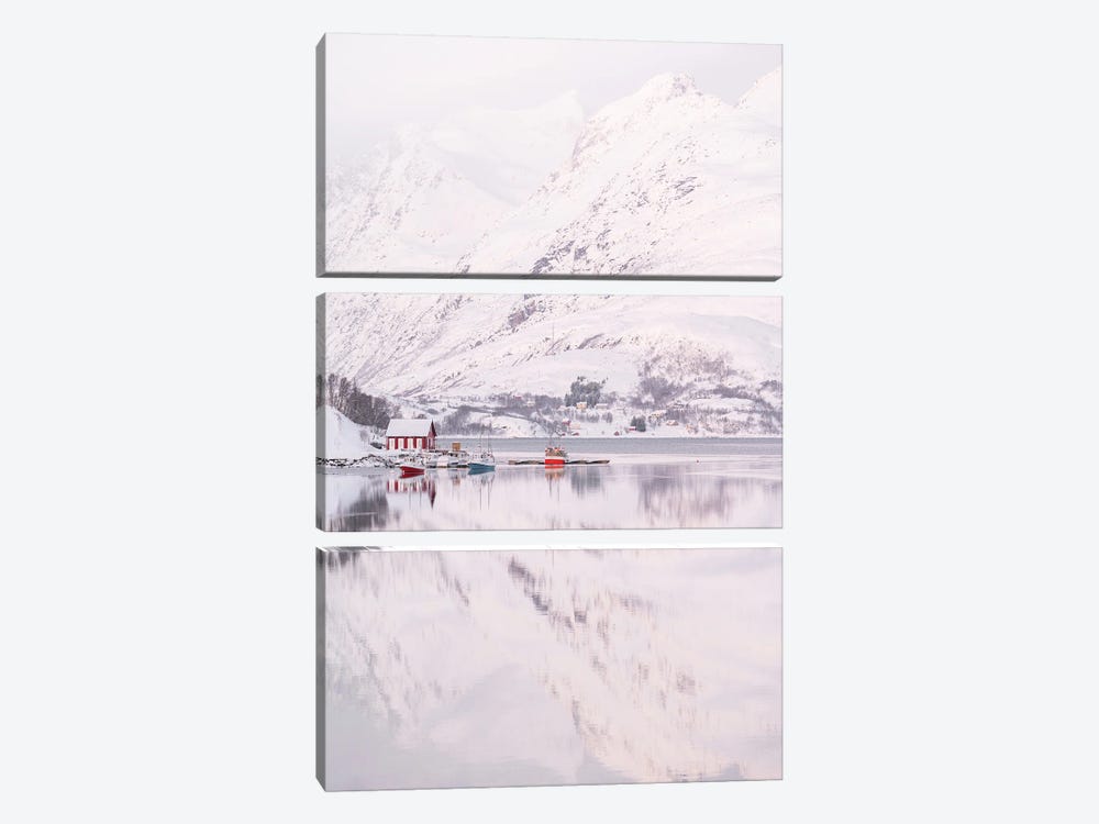 Arctic Reflections by Henrike Schenk 3-piece Canvas Print