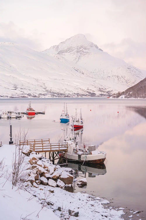 Kaldfjord Landscape