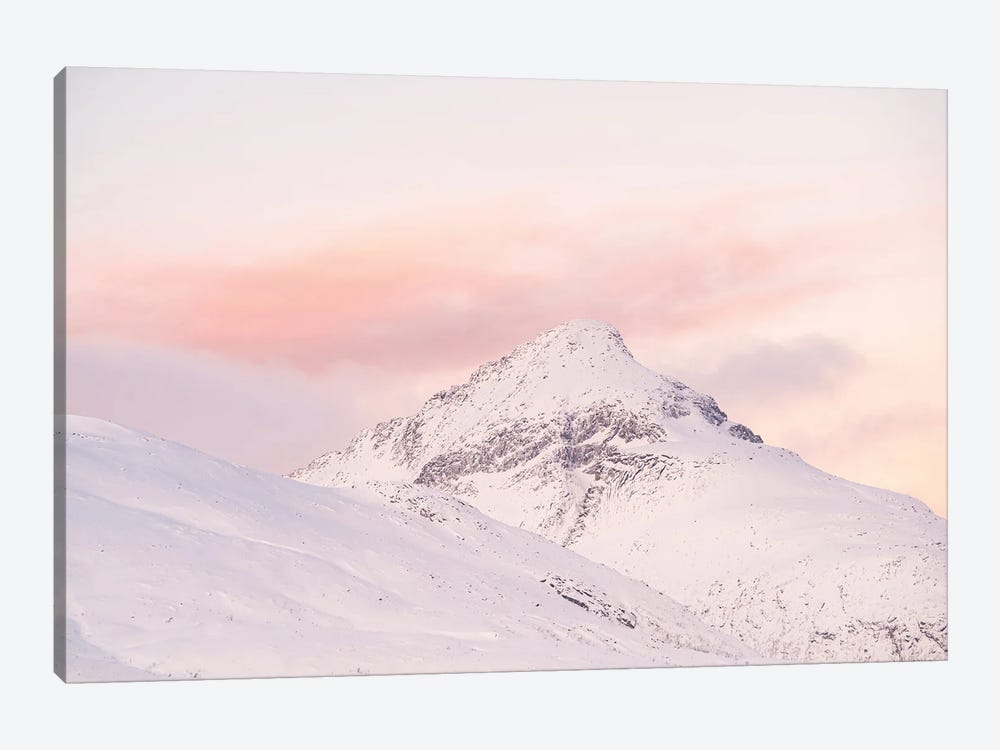 Arctic Sunset by Henrike Schenk 1-piece Canvas Art