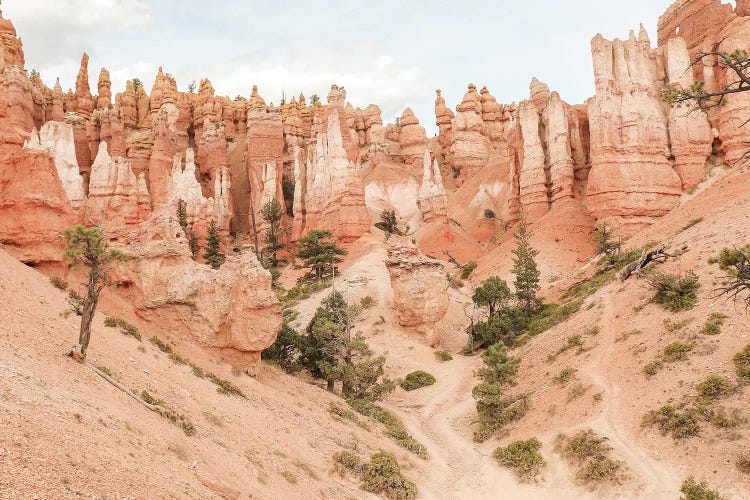 Colors Of Bryce Canyon