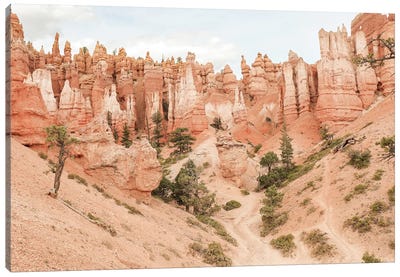 Colors Of Bryce Canyon Canvas Art Print