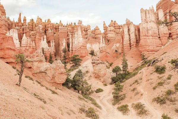 Bryce Canyon National Park: Colors Of Bryce Canyon by Henrike Schenk
